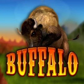 Official Bingo logo: Buffalo Bingo by MGA Games at Robocat Casino